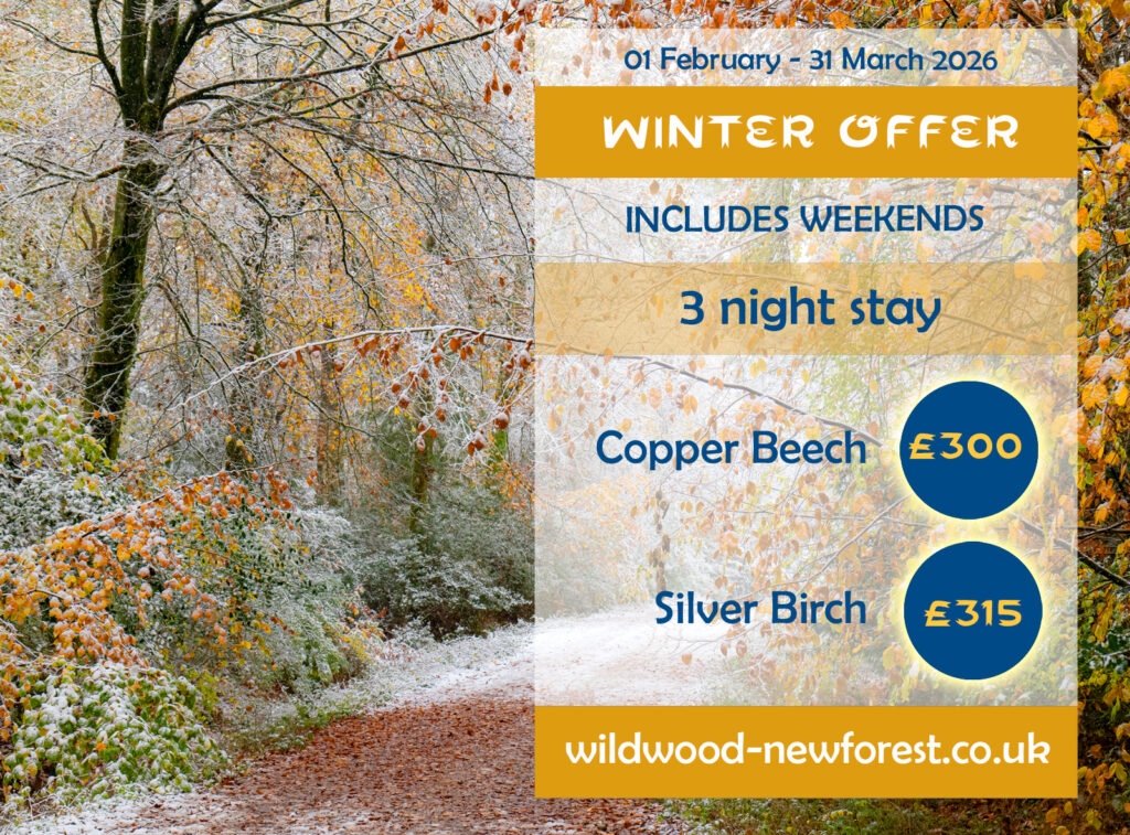 Winter offer